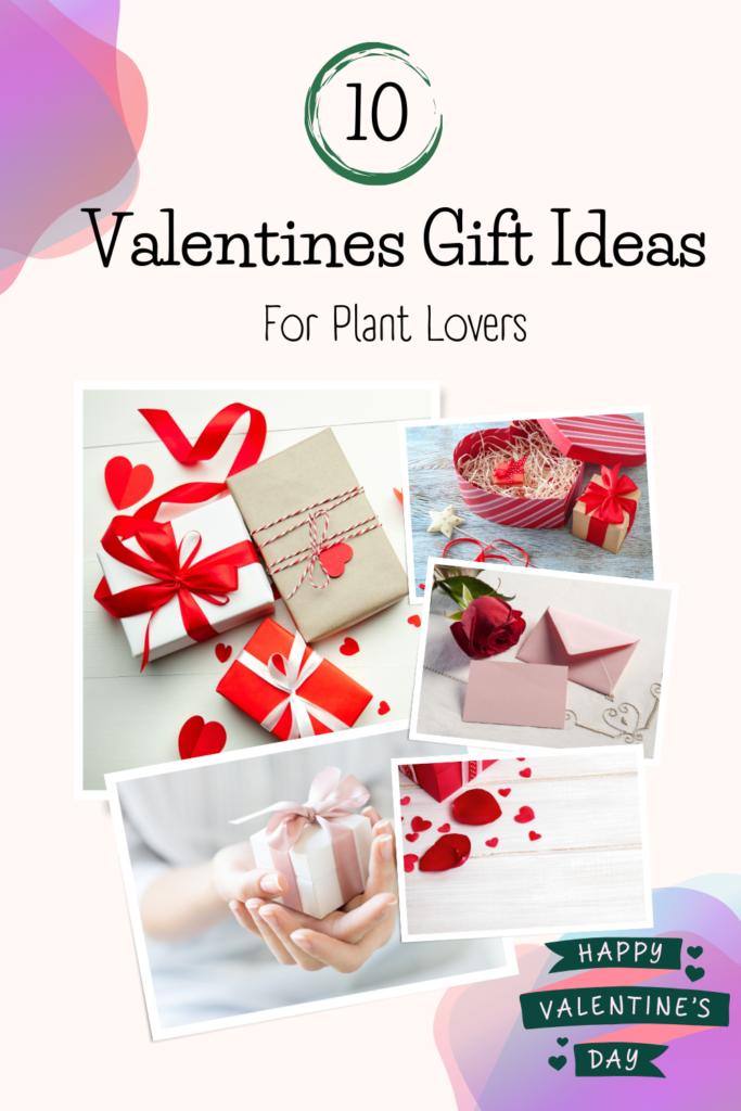 Plant Lover: Valentine Gift Ideas